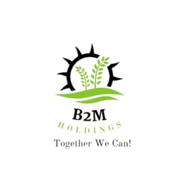 B2M Holdings